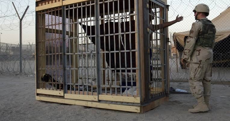 اشغال عراق 2003